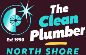 The Clean Plumber